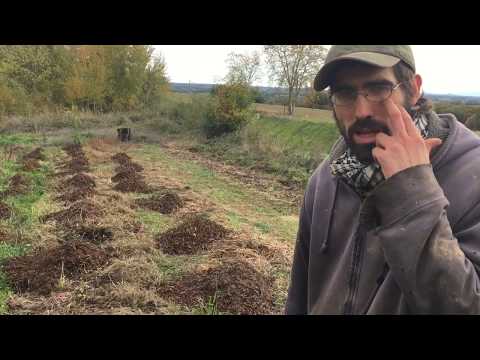 Vídeo: Com Es Determinen Les Característiques Del Sòl Per Herbes I Flors I Molt Més