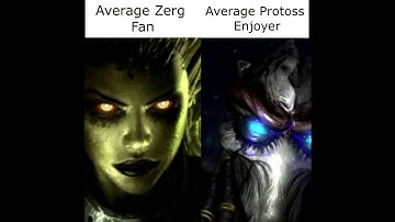 Average Zerg Fan vs Average Protoss Enjoyer