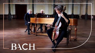 Video thumbnail of "Bach - Canon perpetuus super Thema Regium from The Musical Offering BWV 1079"