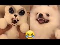 You laugh you are angry bear #57