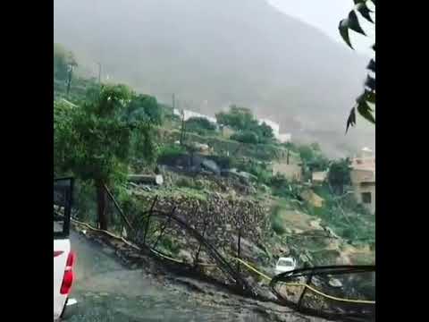 حملي ثقيل وشايله باحتمالي