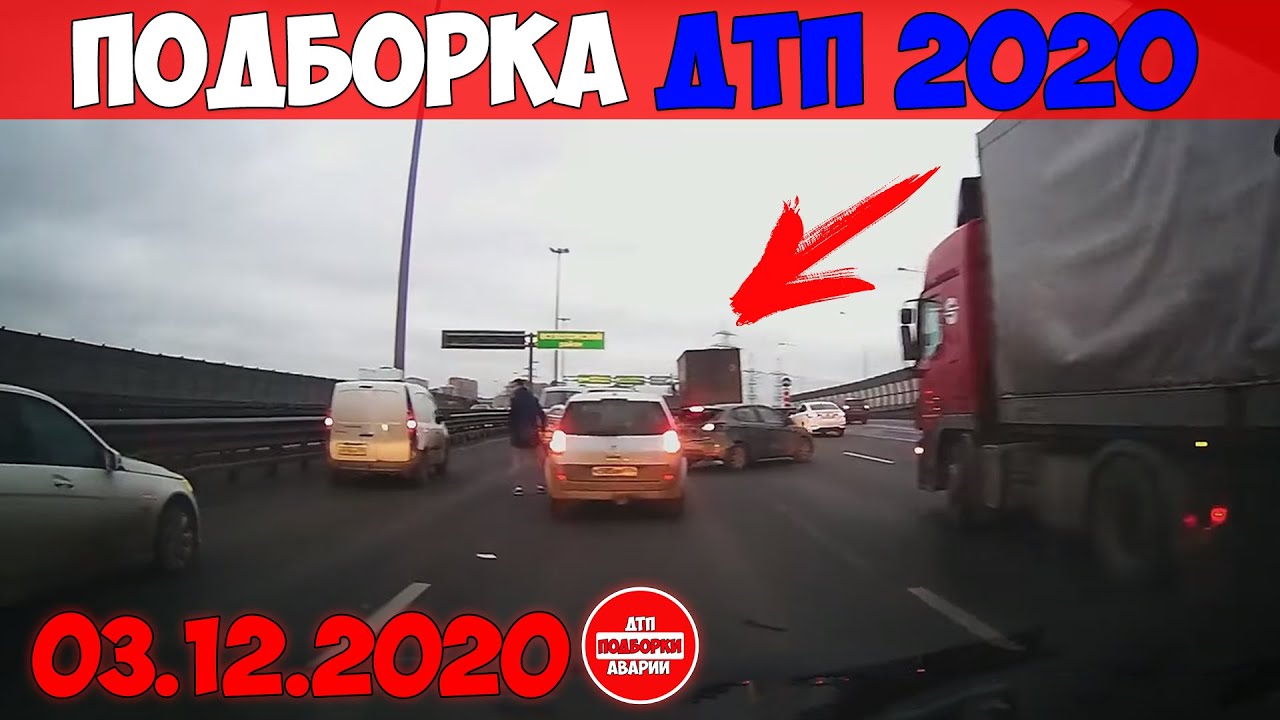 Курицы на дорогах подборка видеорегистраторов