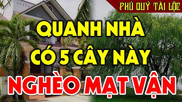 CẢ GIA ĐÌNH LỤI BẠI Nếu Quanh Nhà Còn Trồng 5 Cây Đại Kỵ Này, ỐM ĐAU TRIỀN MIÊN Tiền Bạc Tiêu Tán