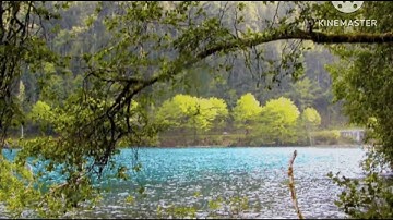 صلاة المغرب 5 ذو الحجة 1444 سورة الفاتحة+ ايات من سورة الشعراء .القارئ معتصم الشناق