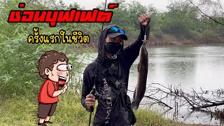 ตกปลาช่อนบุฟเฟต์ ทั้งเหนื่อยทั้งมันส์ | ต๊ะ ตีแหลก #ตกปลาช่อน #ตกปลา