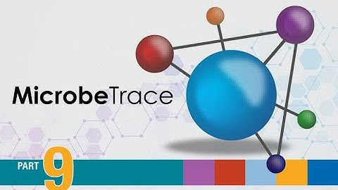 Using MicrobeTrace - Bubble View