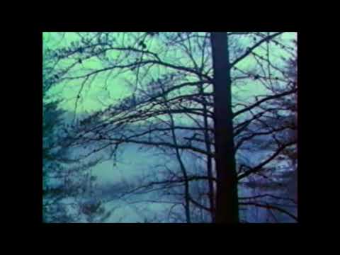 VHS Opening #502 Opening to my 1992 French SECAM VHS of The Silence of the Lambs