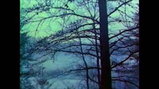 Vhs Opening Opening To My 1992 French Secam Vhs Of The Silence Of The Lambs