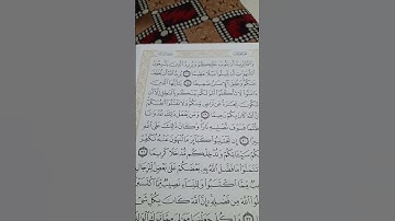 الاية ٢٩ من سورة النساء/ محمد البيطري