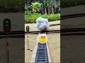 Toy Locomotive Express Train VS ice Stones rail crossing Accident