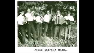 Video thumbnail of "Kiša pada - Ansambl Stjepana Brleka"