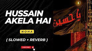Hussain Akele Hai | Noha Maula Hussain | Noha Slowed And Reverb | #Hussainakelahai #karbalawale