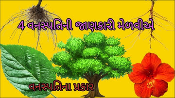 4 વનસ્પતિની જાણકારી મેળવીએ/ Std 6 Sem 1 Unit 7 / Vanspatini Janakari Melaviye/વનસ્પતિના પ્રકાર