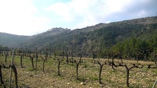 Priorat, Spain