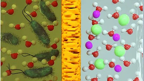 Biomimetic Membranes and Nanotechnology