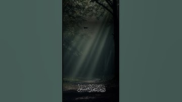 #اكسبلور #الجمعة #لايك #سورة_الكهف #راحة_نفسية #تيك_توك #دويتو #راحه_نفسيه #حالات_واتس #ترند