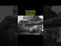 The Darkest Days of Stalingrad #shorts