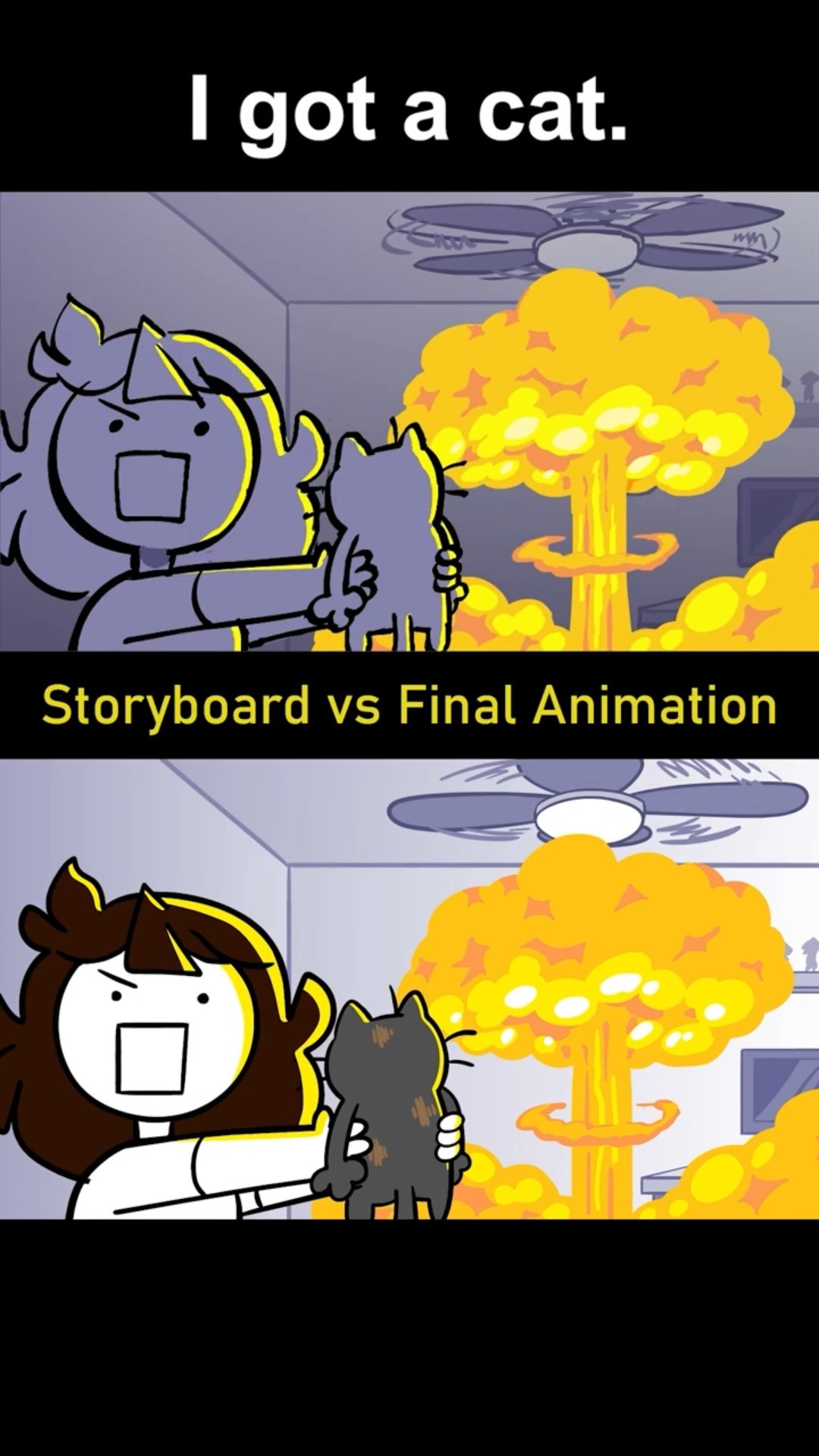 Storyboard vs Animation: I got a cat. (shot 15)