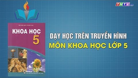 Môi trường tài nguyên thiên nhiên là gì năm 2024