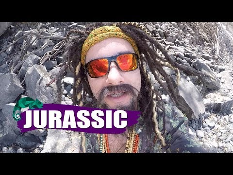 FÉRIAS DO MUSTAFARY -- JURASSIC