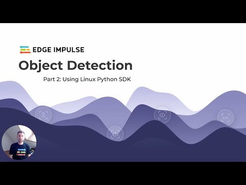 Running Object Detection with Linux Python SDK [Part 2]