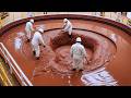 How Chocolate is Made Inside a Mega Food Factory | Full Production Process