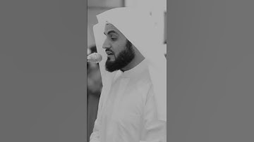 قرآن الكريم بصوت رعد محمد الكردي اجمل حالات واتس اب دينية سورة الكهف فيديو قصيره 🤍🌿