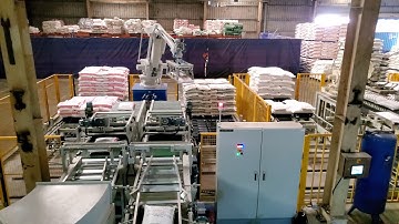 Robot Palletizer With Dual Zone - Dual Gripper ( Thuannhat -IAS company)
