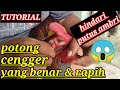 Cara potong cengger ayam