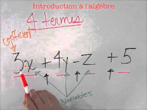 Vidéo: Quels sont les termes de base de l'algèbre ?