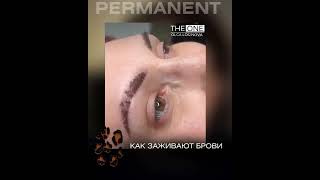 Ольга Логинова перманент и инъекции/ процедуры и обучение
