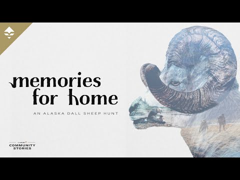 Memories for Home - An Alaskan Range Dall Sheep Hunt