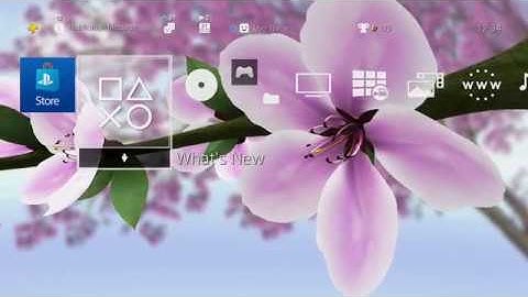 Sakura Seasons Bloom Dynamic Theme [WIP]