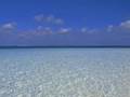 モルディブ ブルーノート/Maldives Bluenote