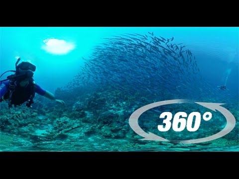 SCUBA BAHAMAS 360 VR Underwater
