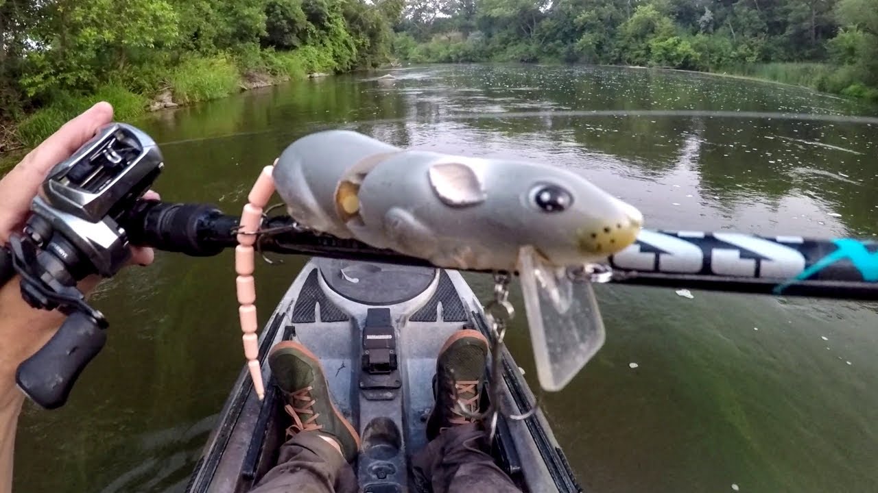 Smallies Love The Rat Lure!