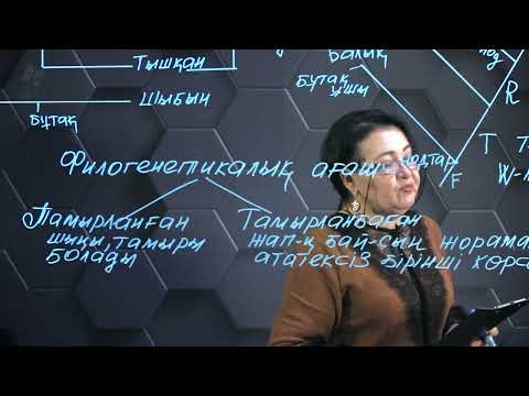 Бейне: Филогенетикалық ағаш кладограммасы дегеніміз не?