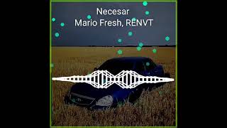 Necesar Mario Fresh, RENVT