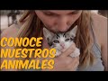 Conoce los Animales de Finca La Maye