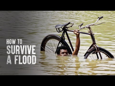 Video: How To Behave In A Flood