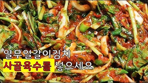 알토란 열무얼갈이김치 : 풋내 없애주는 양념장 비결 : 한입두입 ep.103