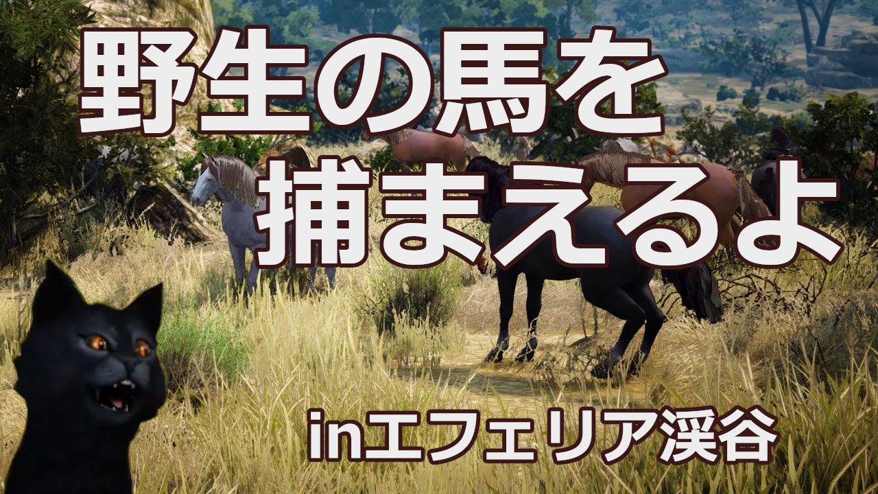 黒い砂漠 野生馬を捕まえるinエフェリア渓谷 Youtube