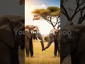 Yousmell Subscribe Not Far Off 400 Yousmell Subscribe Not Far Off 400