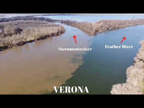 Sacramento river vs
