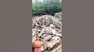 #fcnfm #youtube #cl FCN.FM troubleshooting checklist: solve common pellet mill jamming and low produ