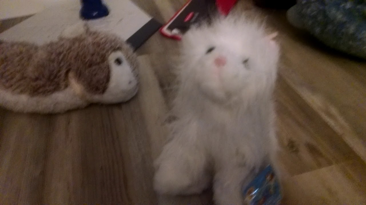 The stuffed animal show season 1 episode 15 camera iphone 8 plus apk