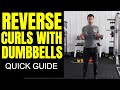 How to Do Reverse Curls With Dumbbells - Great Exercise for Building Bigger Forearms