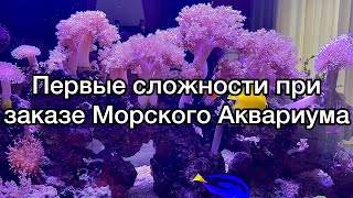 Морской Аквариум запуск | аквариум своими руками | морские рыбки | морские Кораллы