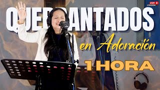 EN VIVO 1 Hora de Adoración y Oración PARA FLUIR EN EL ESPÍRITU SANTO | Nora Camargo