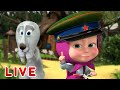 🔴 LIVE STREAM 🎬 Masha and the Bear 🐻👱‍♀️ How to train your rabbit 🐰